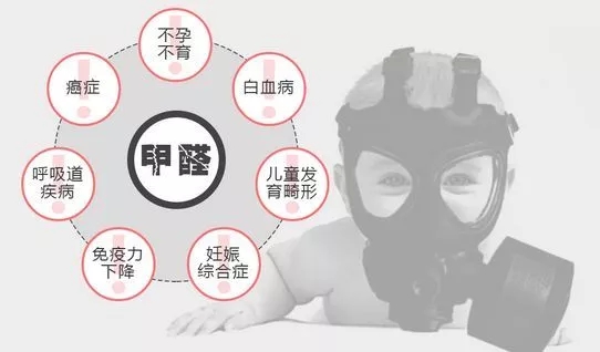 12.12特惠丨甲醛去除率93.1%，真正去除车内异味神器！ 