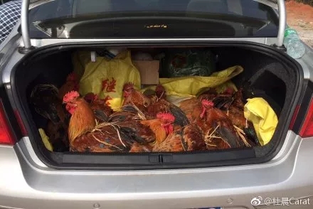 你永远想像不到在乡镇汽车会些拉什么... 
