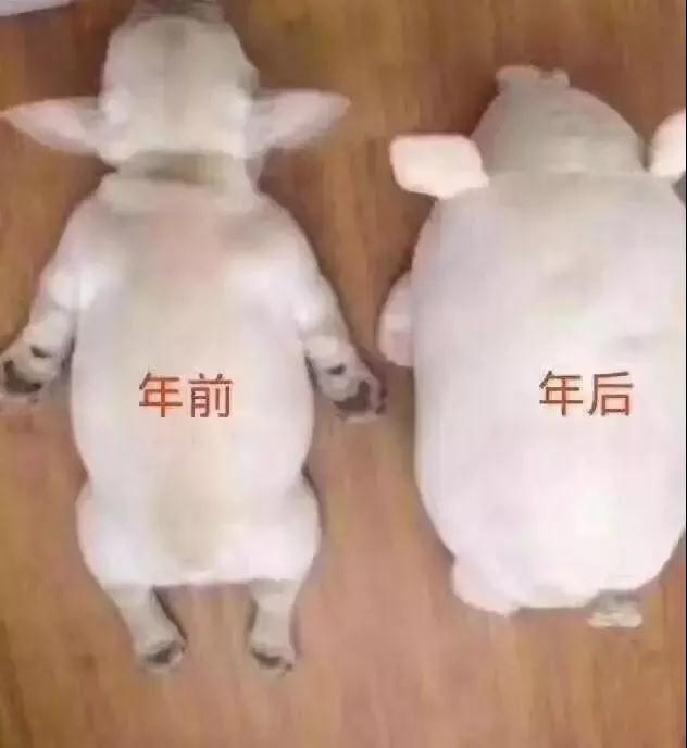 春节返程，有一种爱叫做“妈妈装的后备箱”…… 