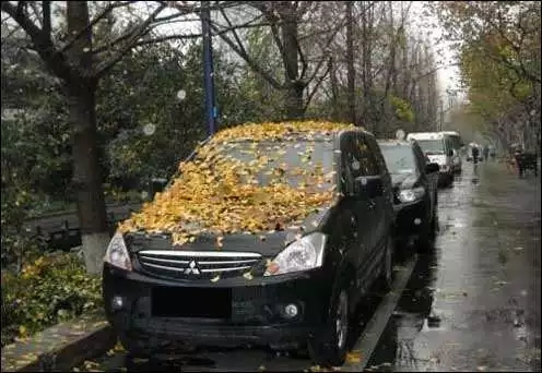 车子一个月不开等于报废！危言耸听吗？ 