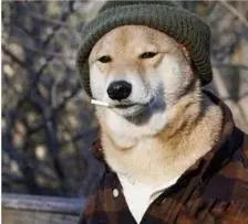 奇葩！男子天天开奥迪“出殡”，竟然只为骗烟！ 