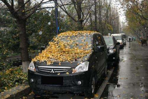 温馨提醒丨疫情期间车辆长期停放危害大？ 