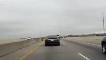 8.gif