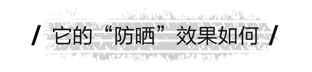 10.webp_1.jpg