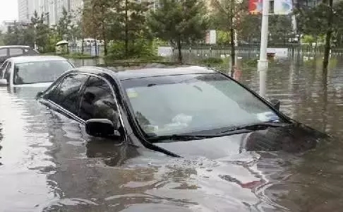 被淹了出不来咋整.webp.jpg