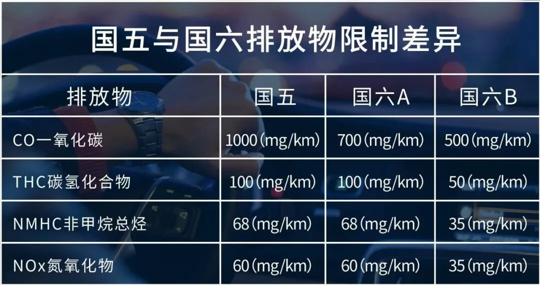 1.webp (1).jpg