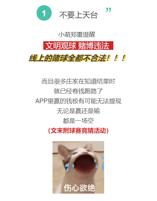 5.png