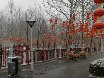 图1.gif