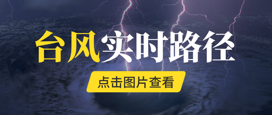 台风实时路径查看.png